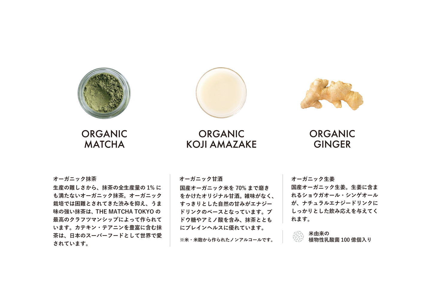 
                  
                    motivate® - ORGANIC MATCHA ENERGY DRINK 6-bottles
                  
                