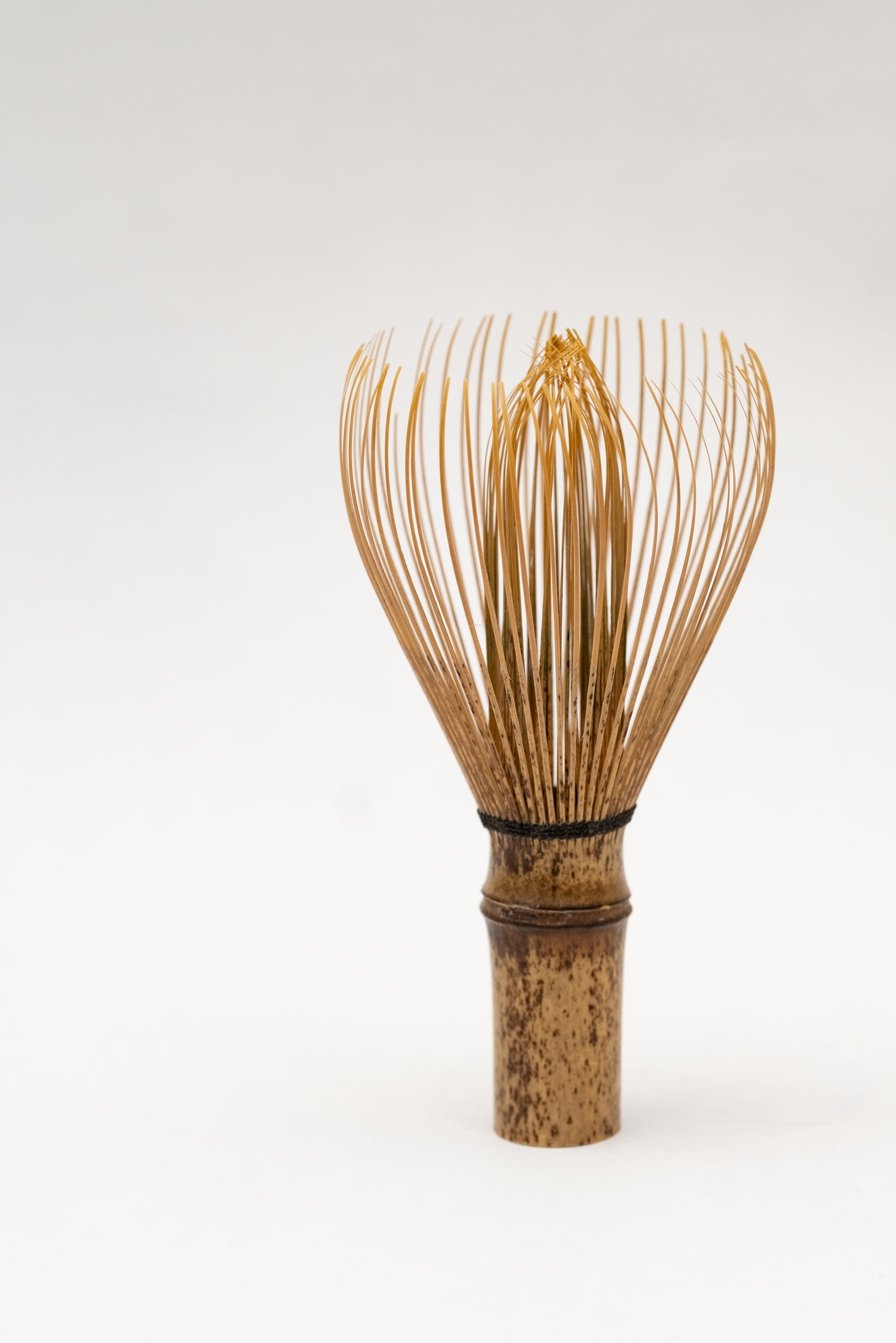 
                  
                    CHASEN BLACK BAMBOO
                  
                